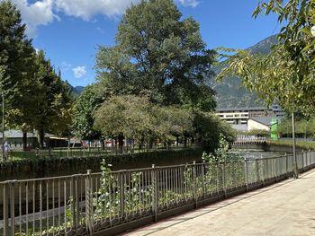 Trees by building against sky