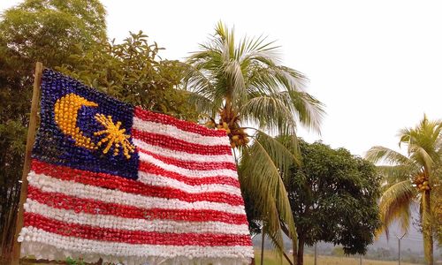 Close-up of flag against palm trees against clear sky