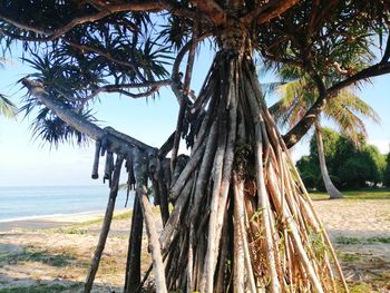 Palm tree by sea against sky