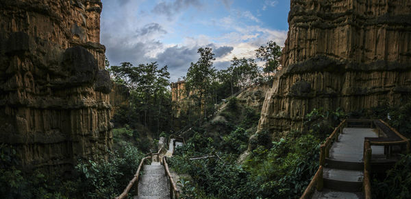 Panoramic view of trees against cloudy sky