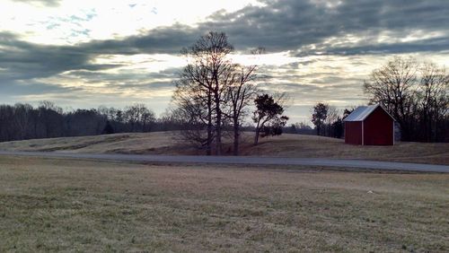 Bare trees on field against cloudy sky