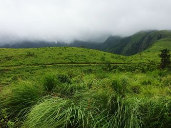 Scenic view of green field and mountains against sky