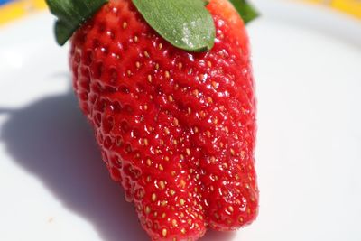 Close-up of strawberry in plate