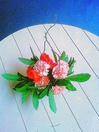 Close-up of red flowers