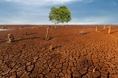 Surface level of barren land against sky