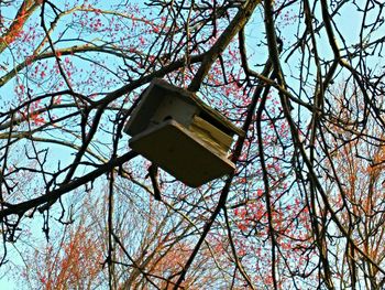 Low angle view of bare trees against blue sky