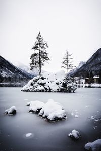 Frozen trees and rocks in lake against sky