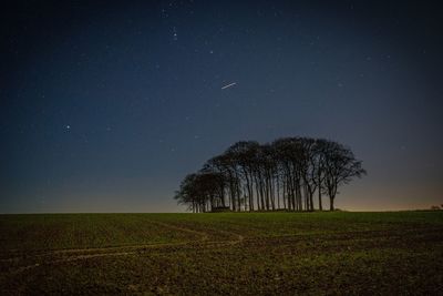 Trees on field against sky at night