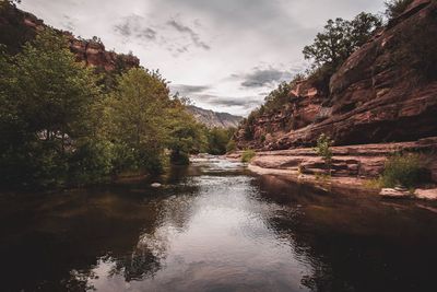 Scenic view of river amidst trees in forest against sky