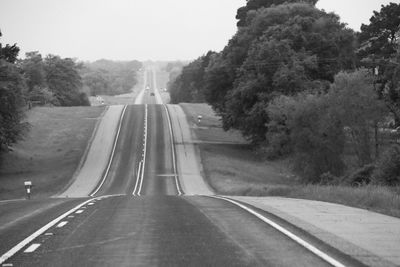 Empty road along trees and plants