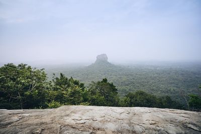 Trees on rock against sky