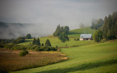 Landscape of jura in france in the morning mist