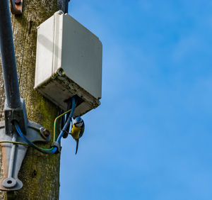 Low angle view of bluetit on wire against clear sky