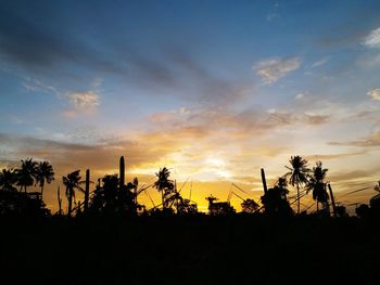 Silhouette palm trees on field against sky at sunset