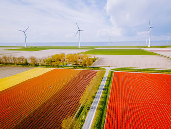 Wind turbines on field against sky