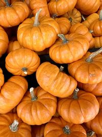 Full frame shot of pumpkins