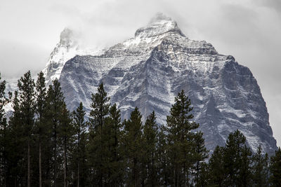 Low angle view of snowcapped mountain against sky