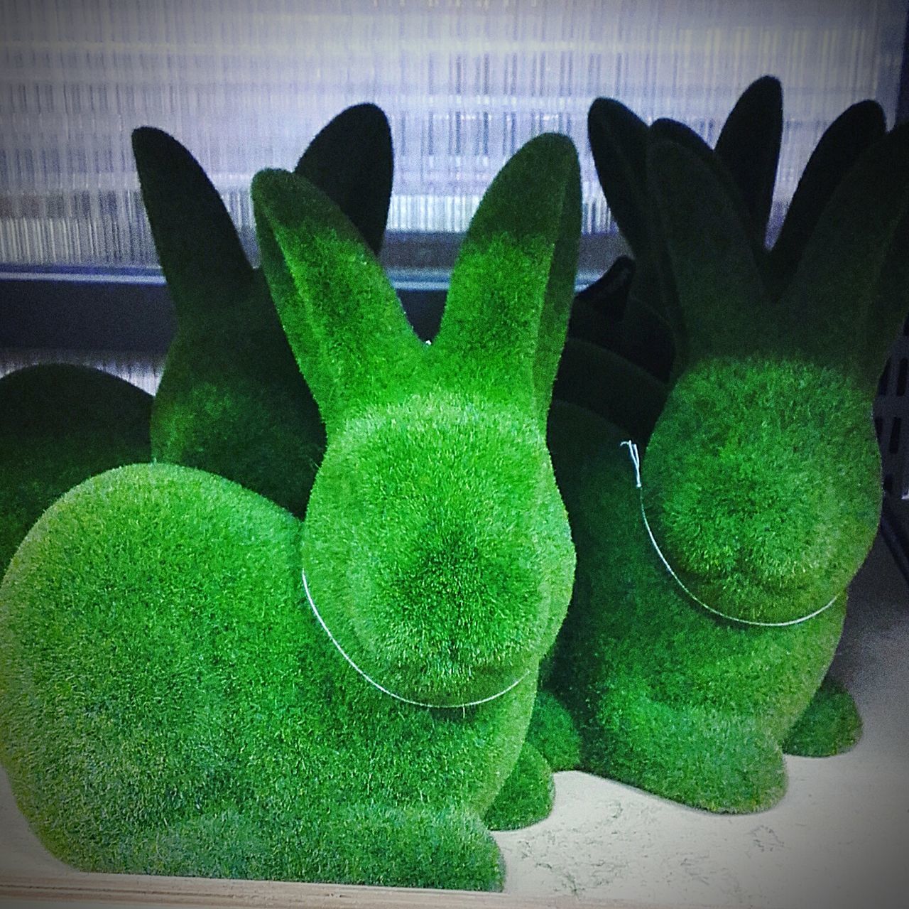 Greenrabbit