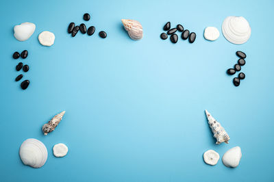 High angle view of shells on table