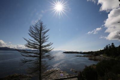 Scenic view of lake against sky during winter