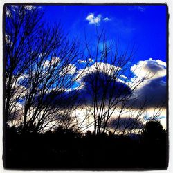 Silhouette of bare tree against cloudy sky