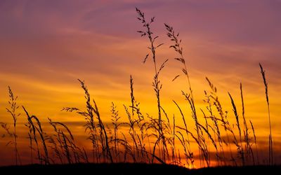 Silhouette landscape against orange sky