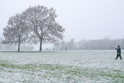 Man waking through a field with trees in winter