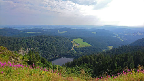 Scenic view of landscape against sky