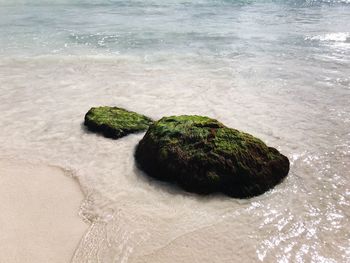 High angle view of rocks in sea