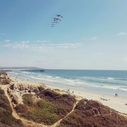 Scenic view of beach