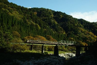 Limited express hida running on the takayama line in autumn