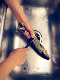 High angle view of man working at home