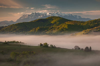 Mountain landscape in the spring season.