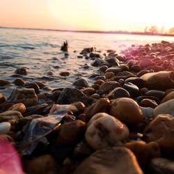 Rocks on beach during sunset