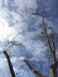 Low angle view of bare tree against cloudy sky