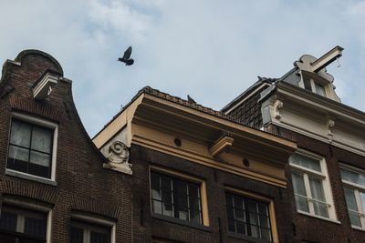 Low angle view of bird flying over building against sky