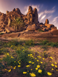 View of rock formations