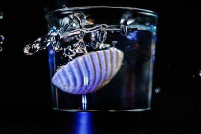 Close-up of cake against black background