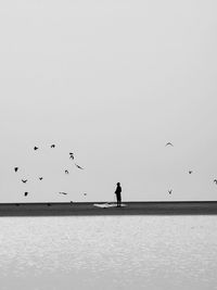 Silhouette people walking on beach against clear sky