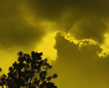 Low angle view of silhouette tree against sky