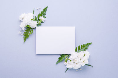 White flowers on table