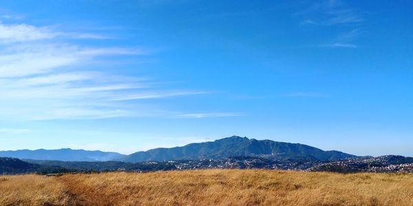 Scenic view of field against blue sky