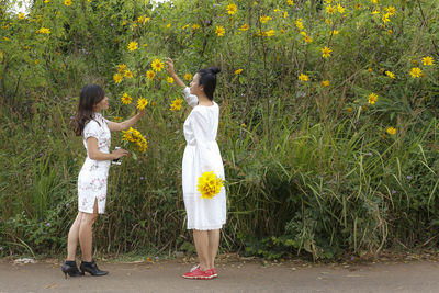 Full length of woman standing against yellow flowers