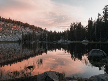 Reflection of trees in lake against cloudy sky at dusk