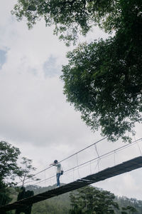 Low angle view of tree against sky