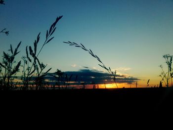 Silhouette plants against clear sky during sunset