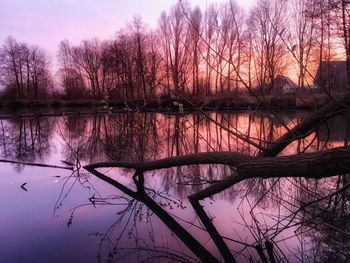 Reflection of bare trees in lake at sunset