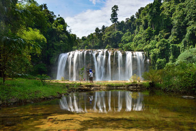 Scenic view of waterfall in forest