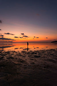 Silhouette of person standing on beach