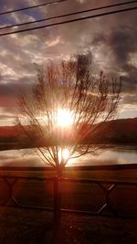 Close-up of silhouette tree against sunset sky